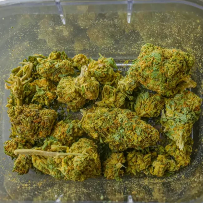 Best Recreational Cannabis Dispensary White Plains